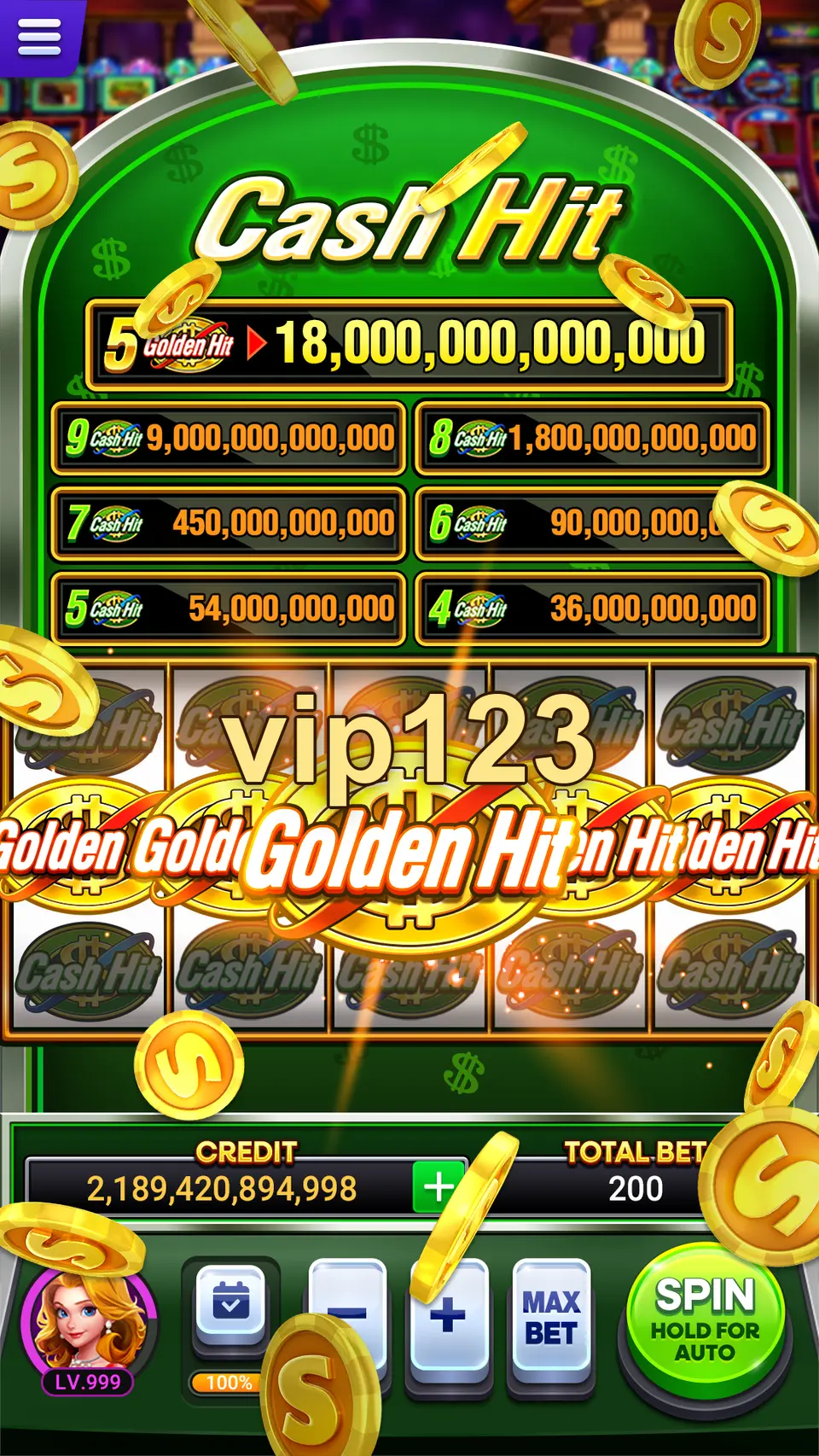 vip123 Preview